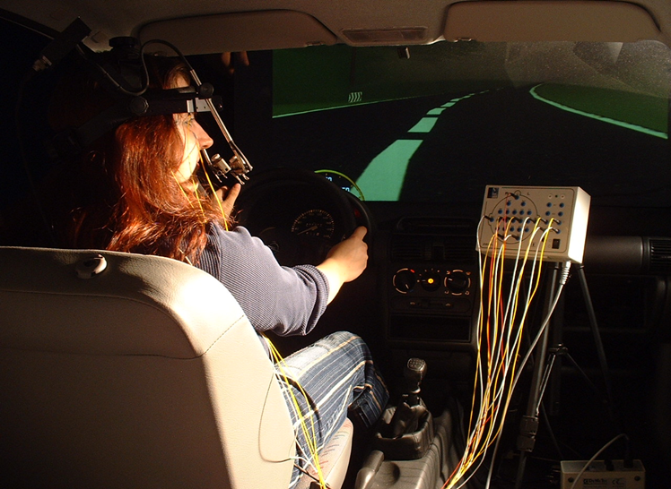 Driving simulation
